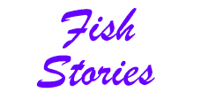 Fish Stories